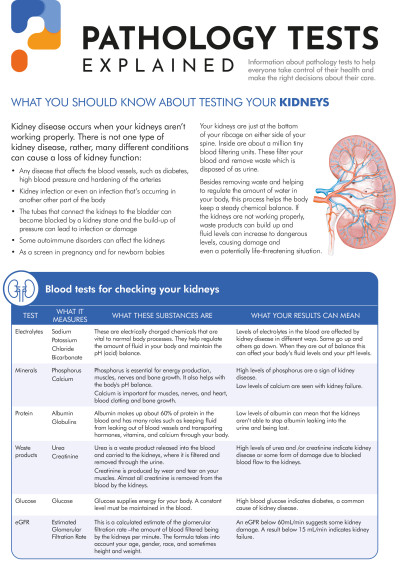 Kidney function tests